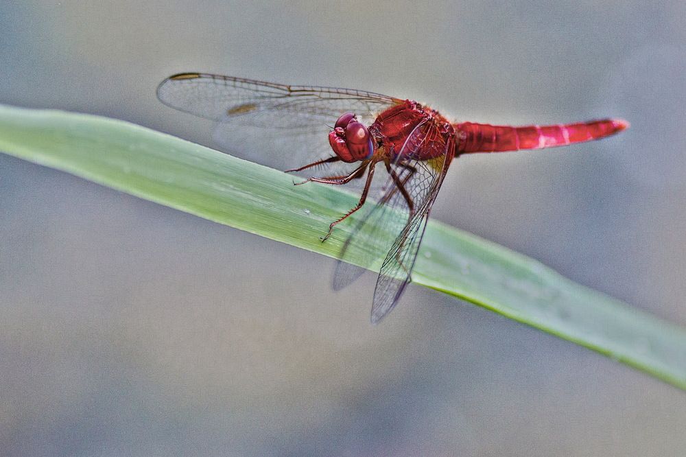 Photograph by Александр Стрельченко