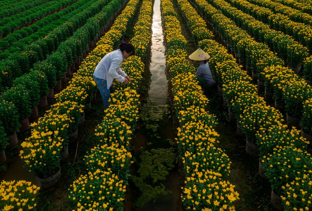 Take care of the garden