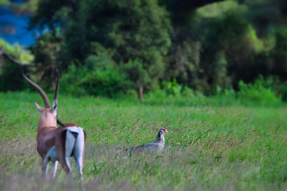 Фотография автора Ravikumar Kannaiyan