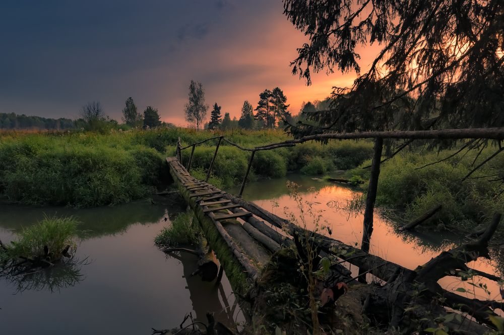 Photograph by (Roman) Heger