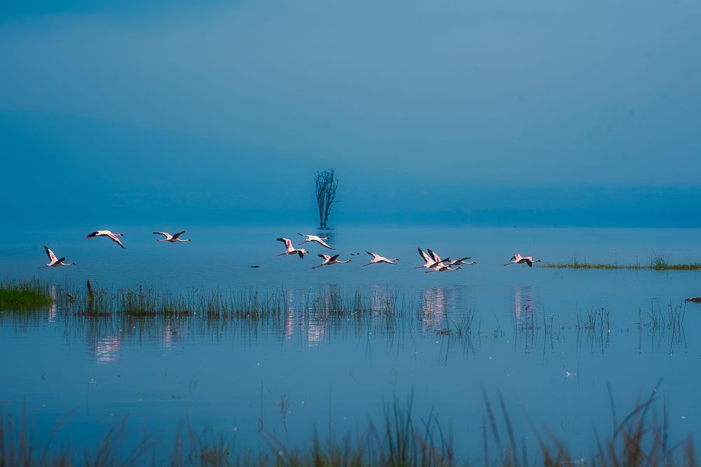 Фотография автора Ravikumar Kannaiyan