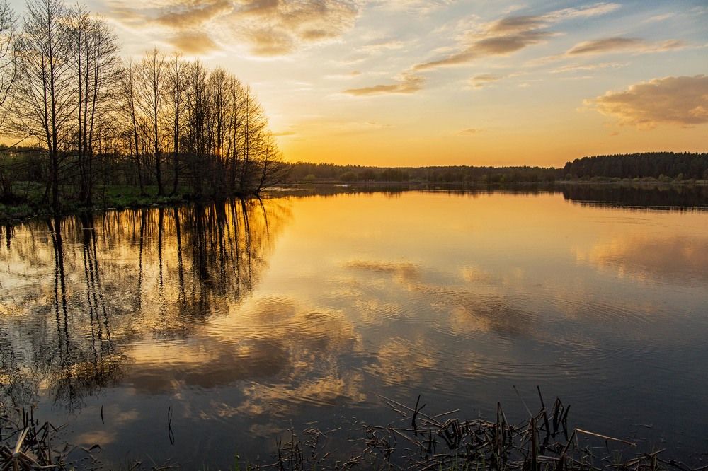 Photograph by Елена