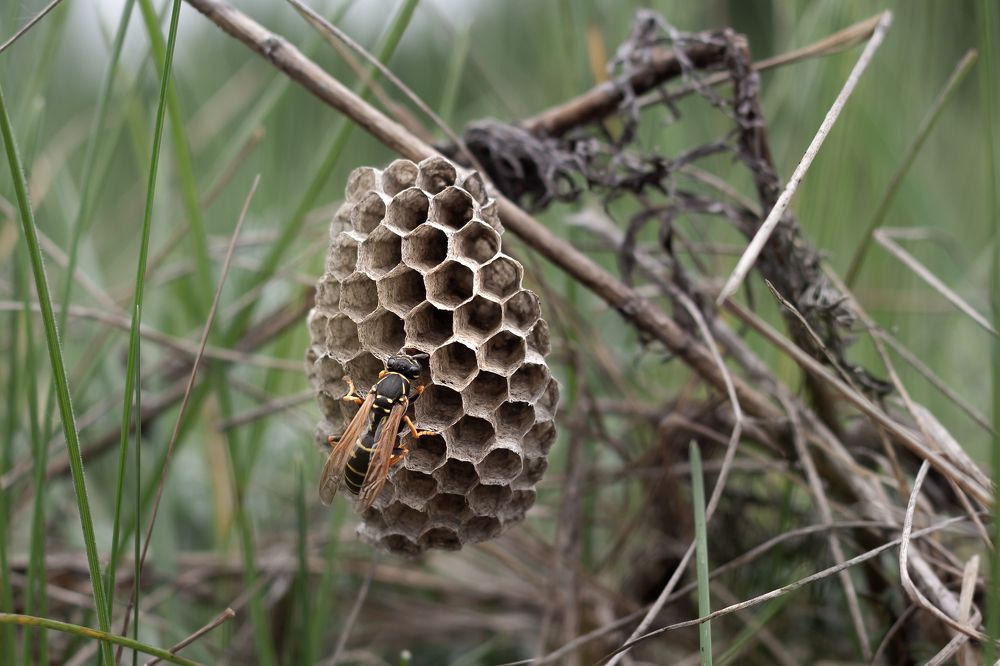 Photograph by Дмитрий Чудинин