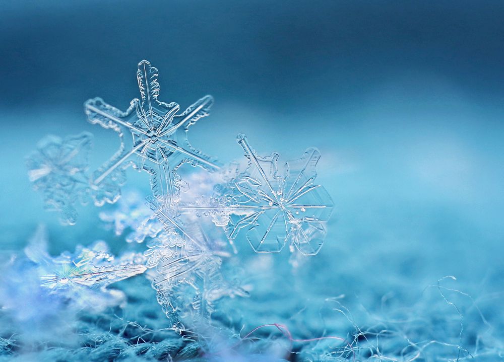 Photograph by Maryna Sydorova