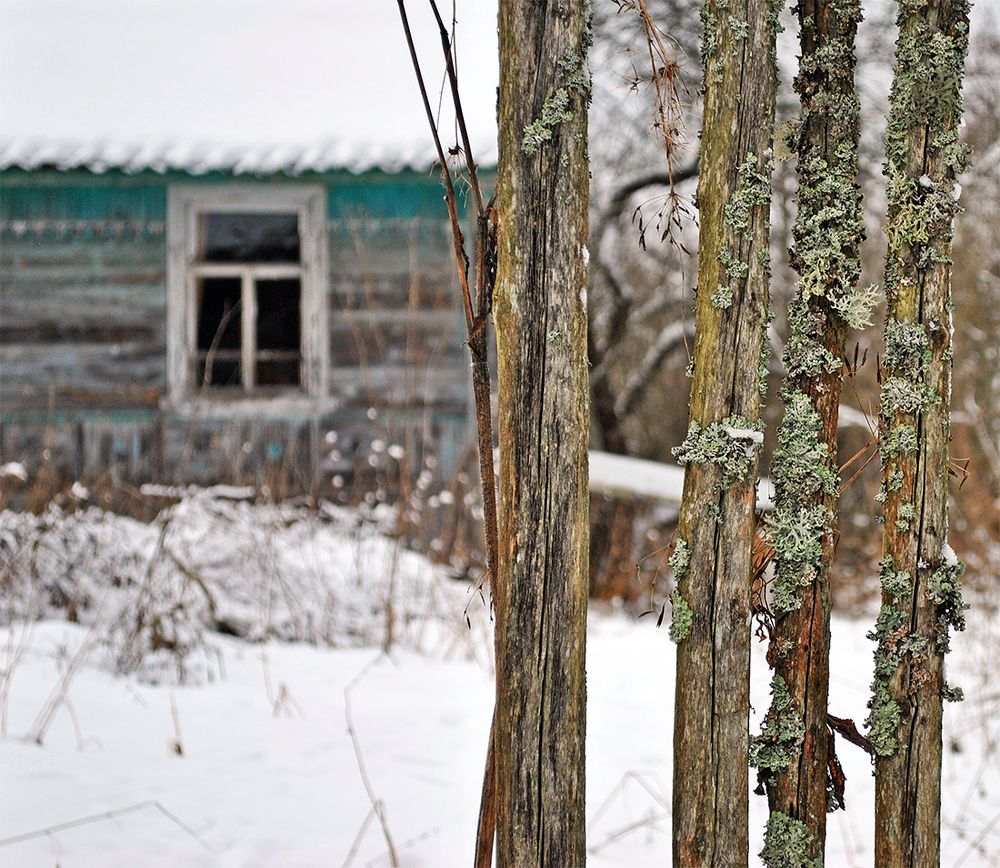 Photograph by Алексей