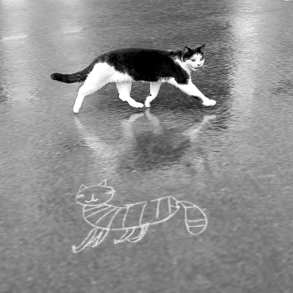 Photograph by Павел Пунанов