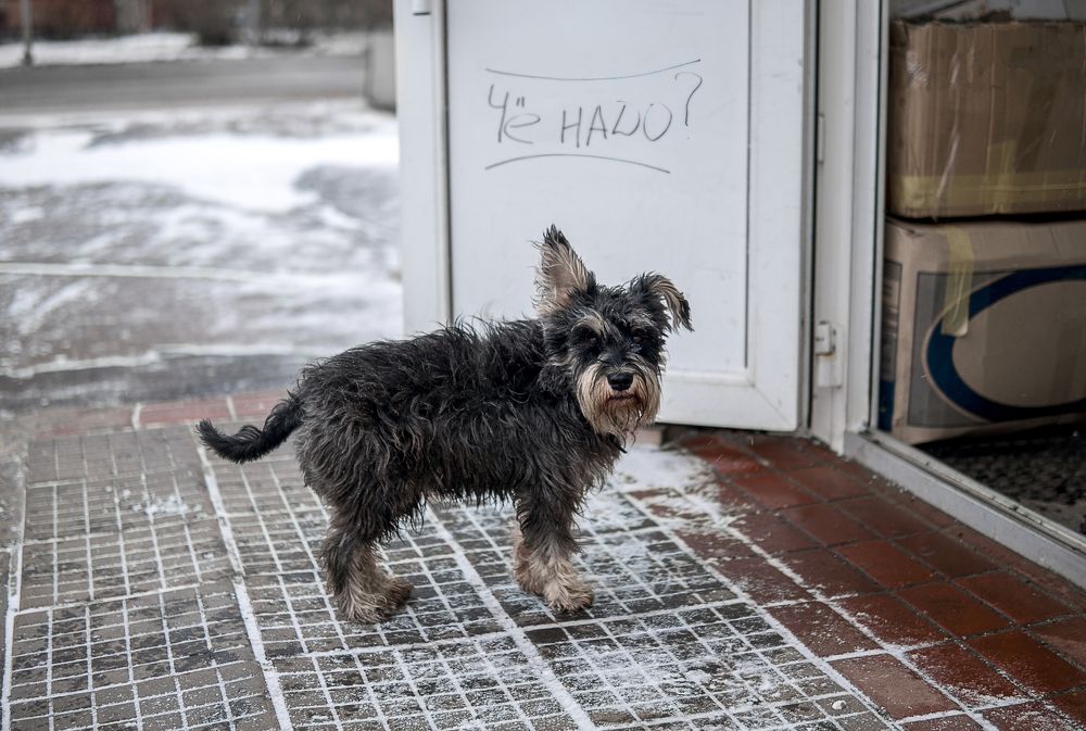 Photograph by Павел Пунанов