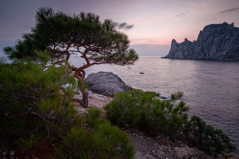 Photograph by Марина Богатырева