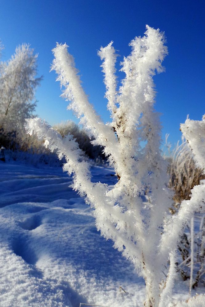 Photograph by Юлия Картушина
