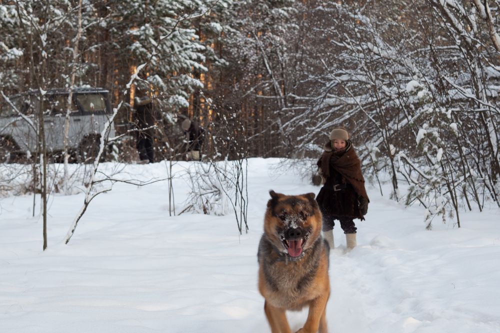 Photograph by Светлана Усольцева