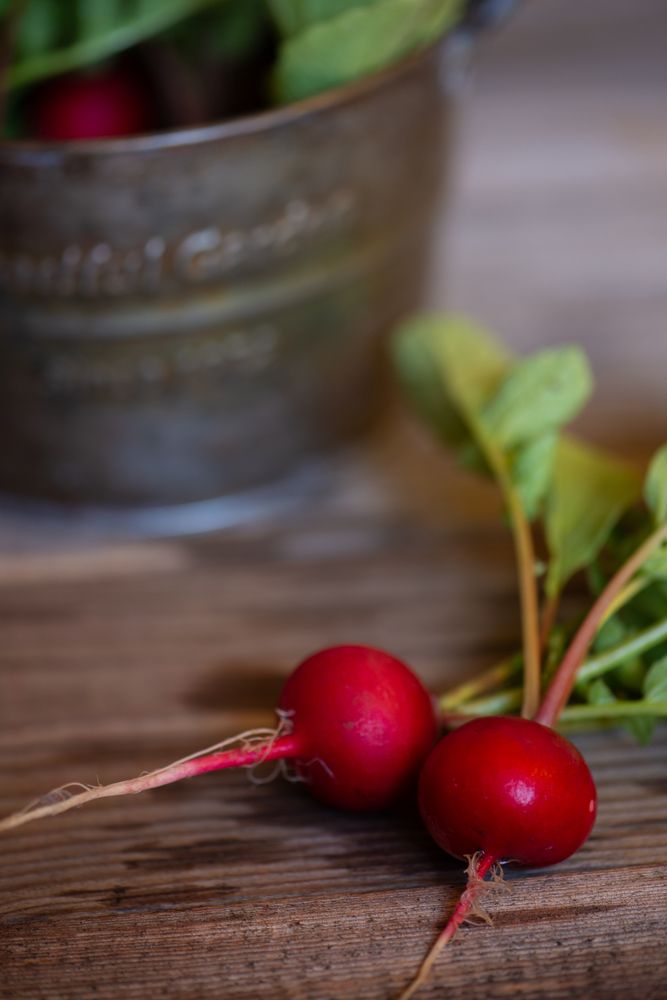 Photograph by Марина Богатырева