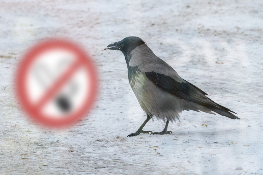 Photograph by Павел Пунанов