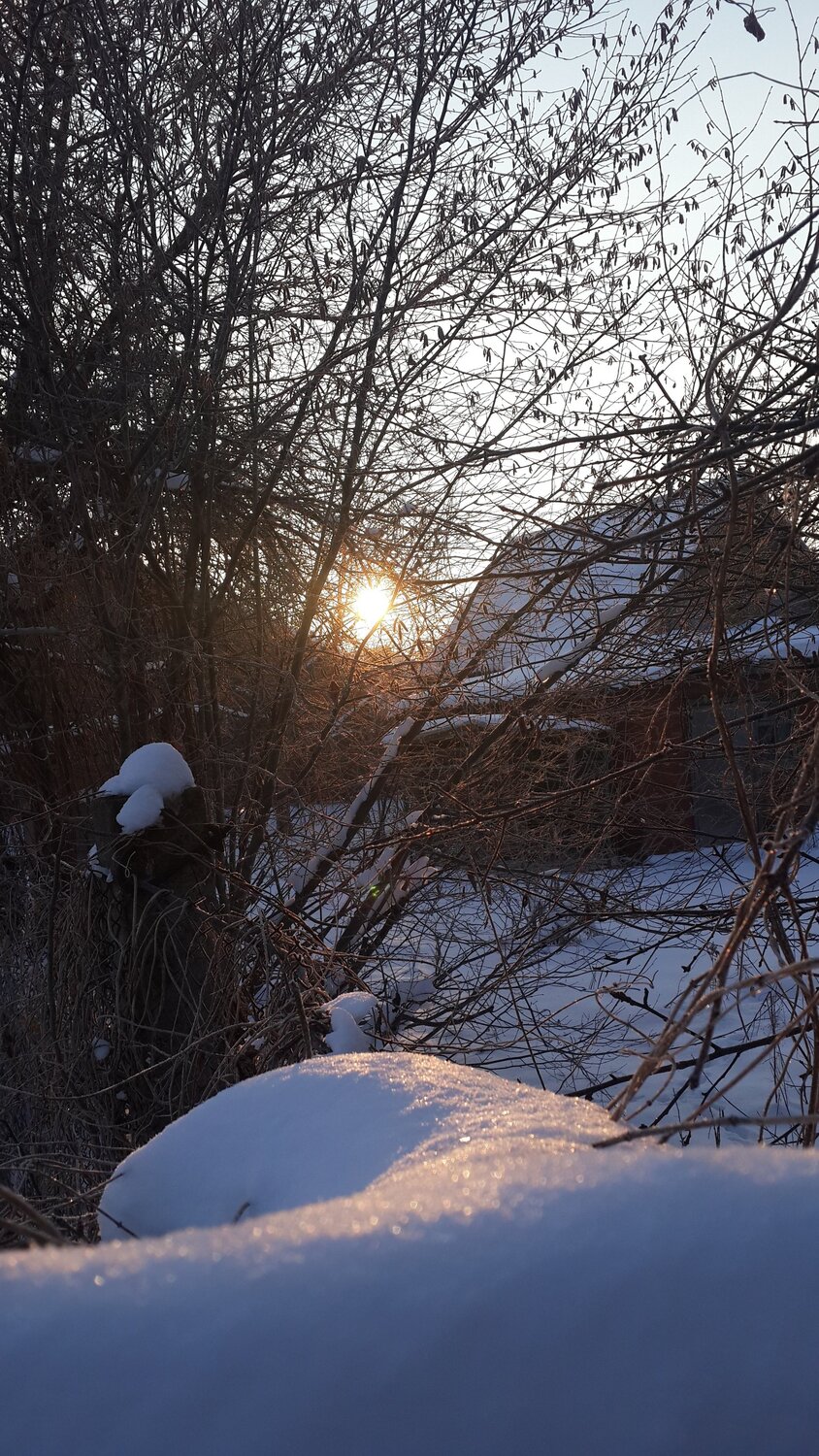 Photo #5781900