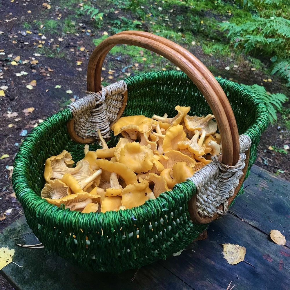 Photograph by Nika Litus