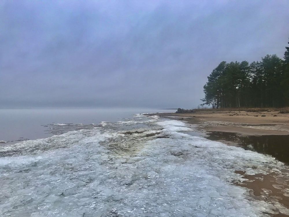 Photograph by Nika Litus