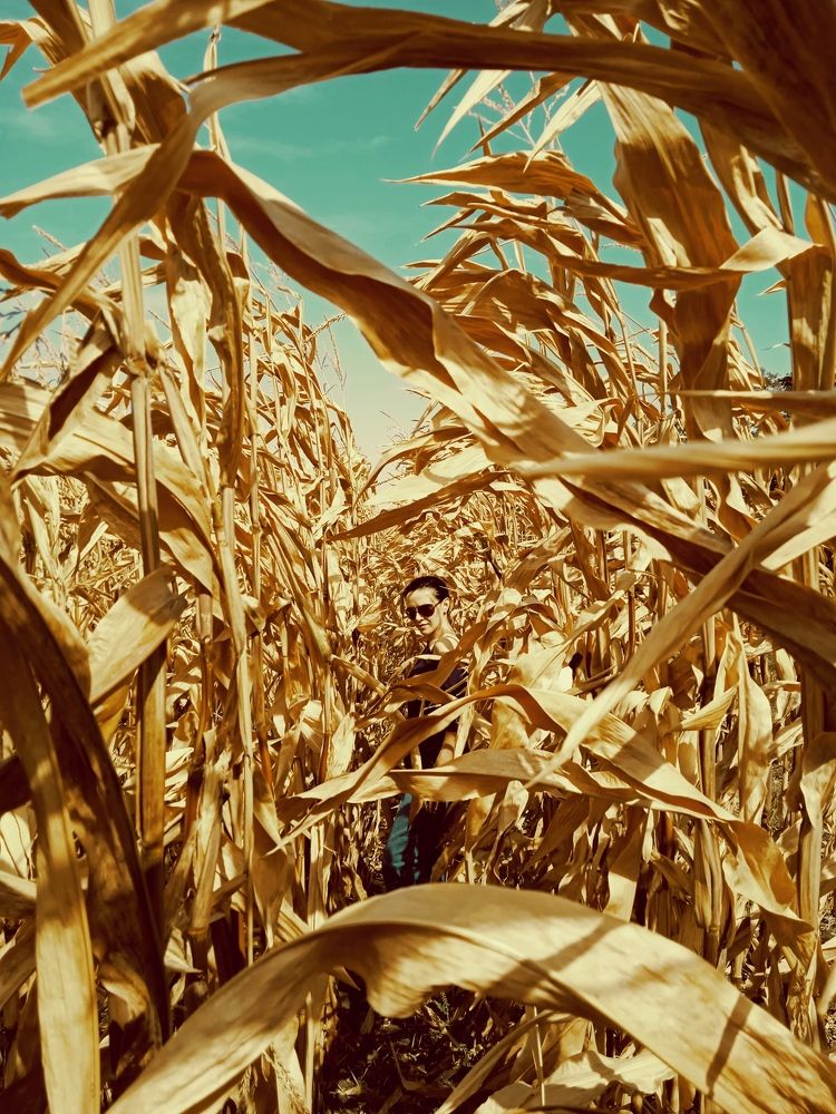 Фотография автора Михаил Лупина