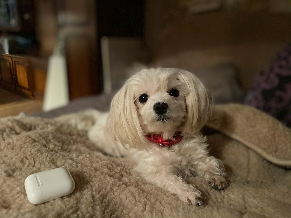 Photograph by Nika Litus