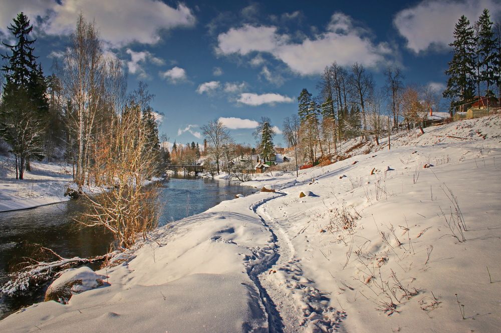 Фотография автора Анатолий Дауров