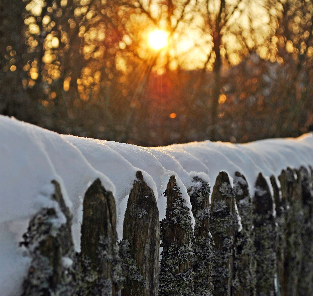 Photograph by Алексей