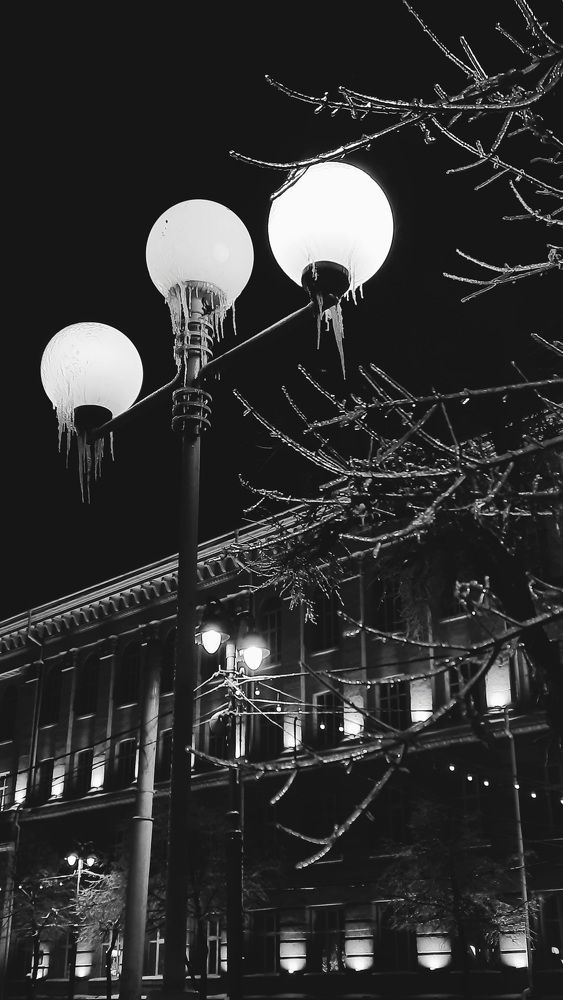 Photograph by Алексей Стариков