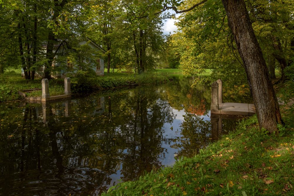 В тишине осеннего пруда...