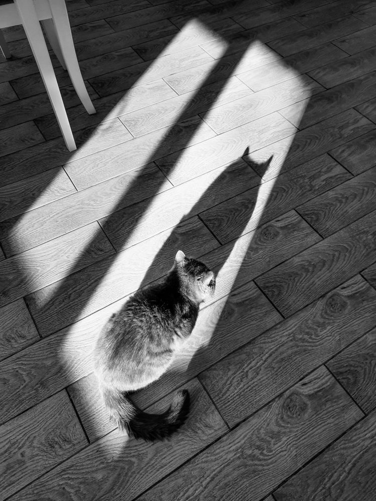 Photograph by Виктория Дорошина