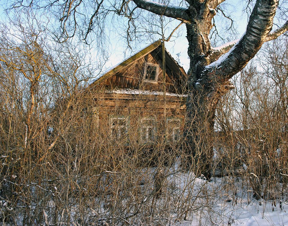 Photograph by Алексей