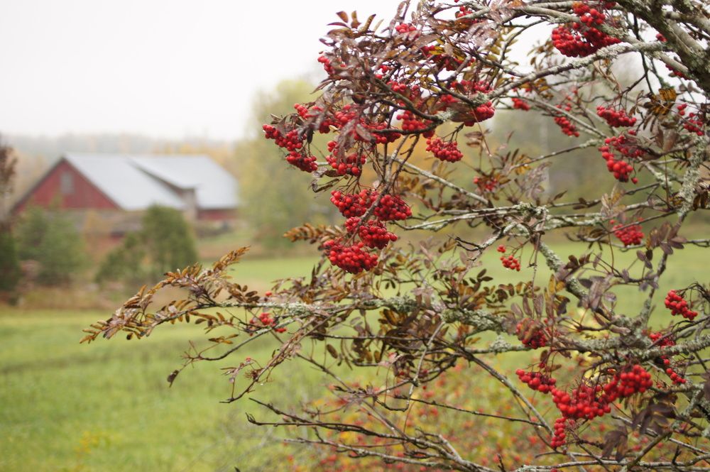 Photograph by олеся