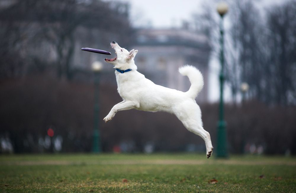 Photograph by Svetlana  Palaychuk