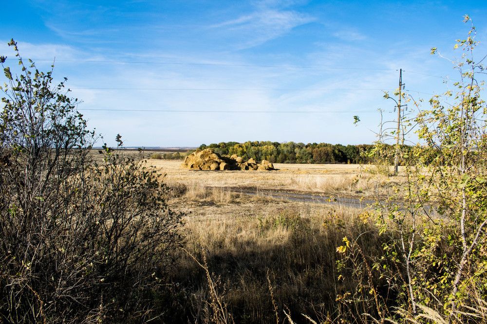 Photograph by Наталия Чайка