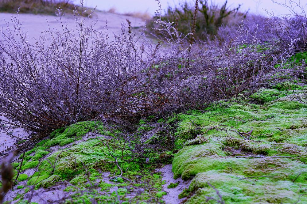 Photograph by денис суслин