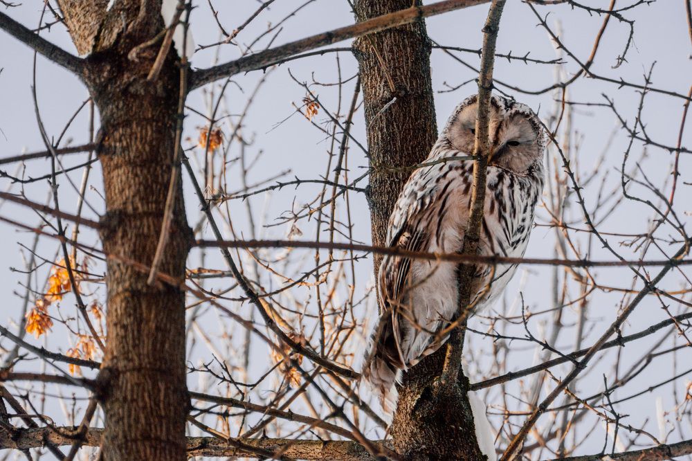 Photograph by Екатерина Аксёнова