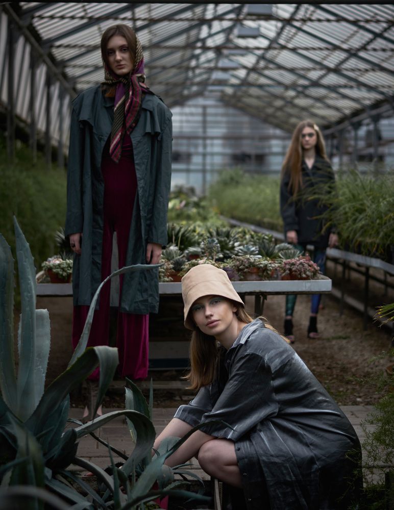 In the world of plants