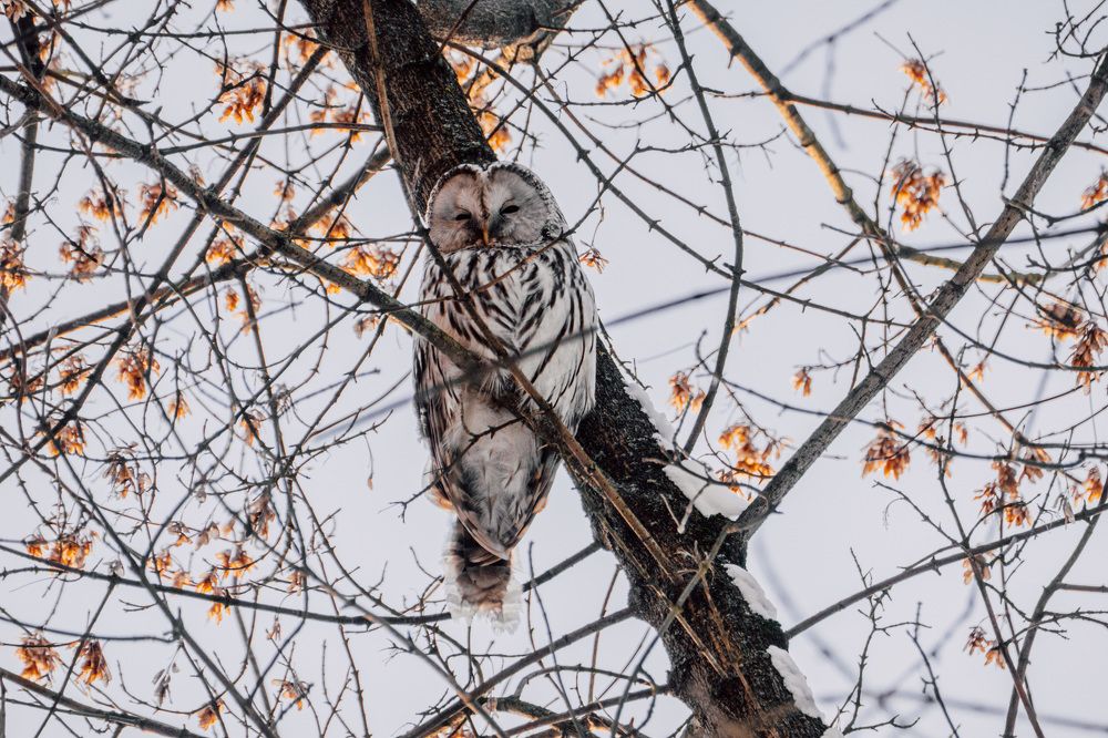 Photograph by Екатерина Аксёнова