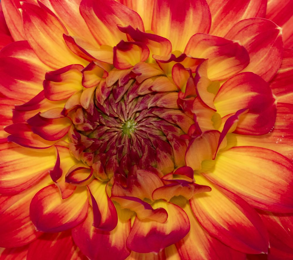 Photograph by MICHEL GAROT