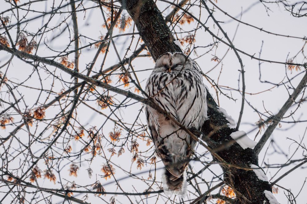 Photograph by Екатерина Аксёнова