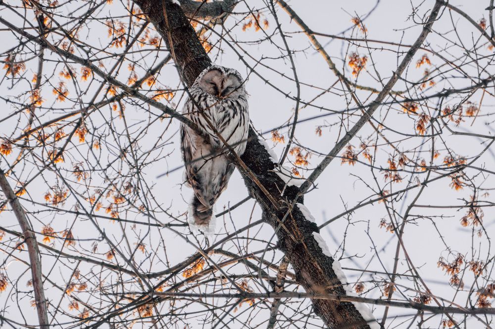 Photograph by Екатерина Аксёнова