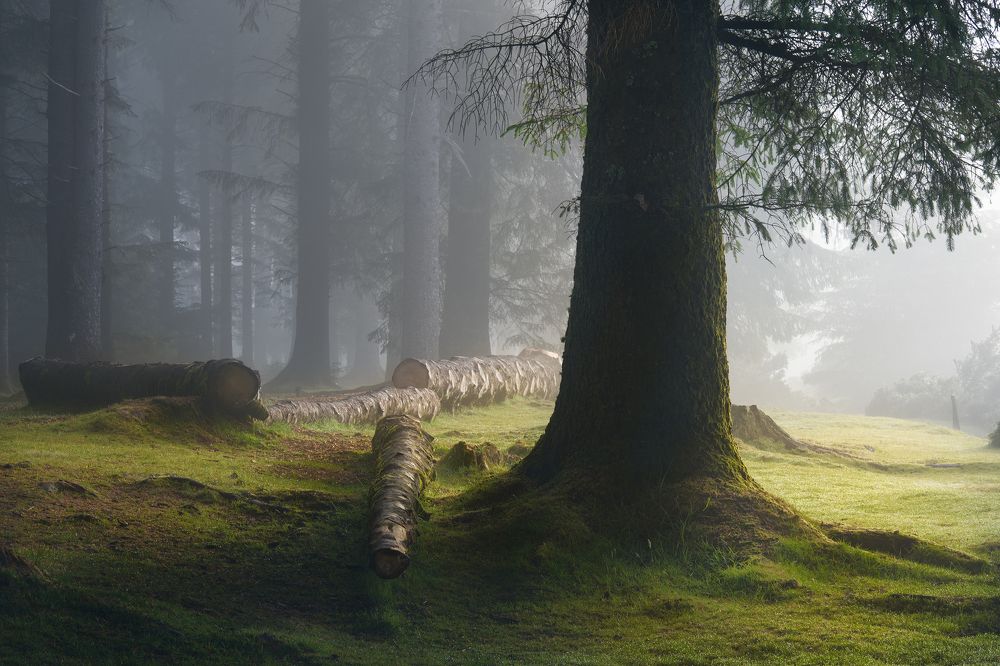 Photograph by ARTUR SZCZESZEK