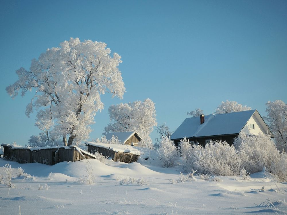 Photograph by Евгений Яковлев