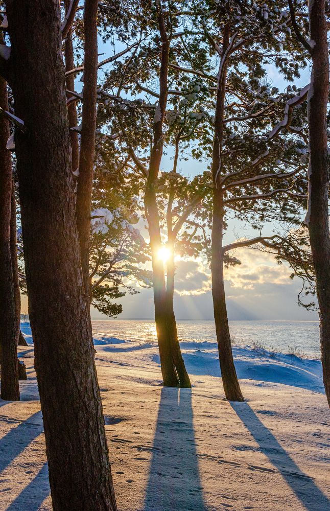 Photograph by Антон Парфентьев