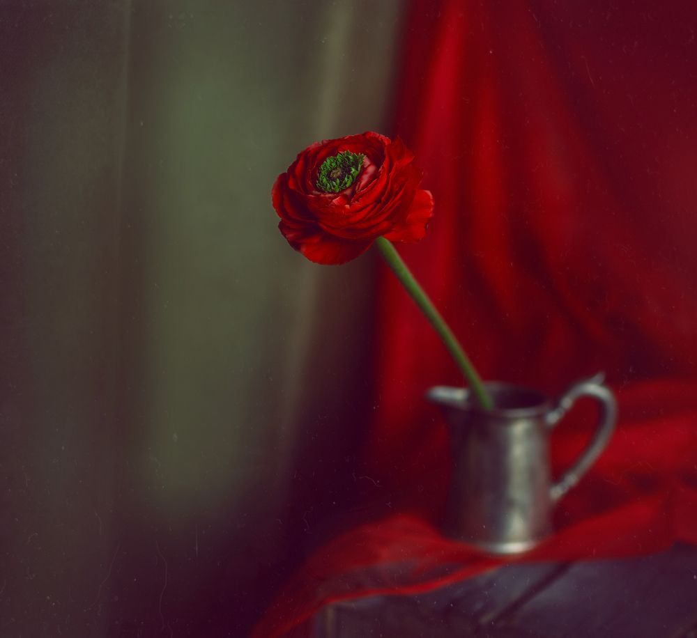 Photograph by Svoboda Andreeva