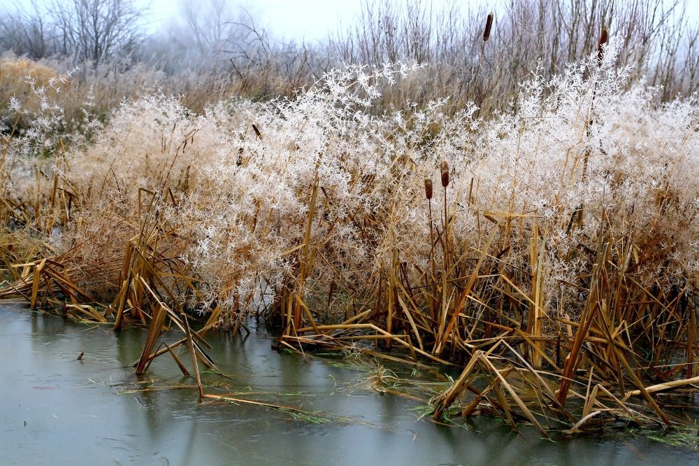 Photograph by денис суслин