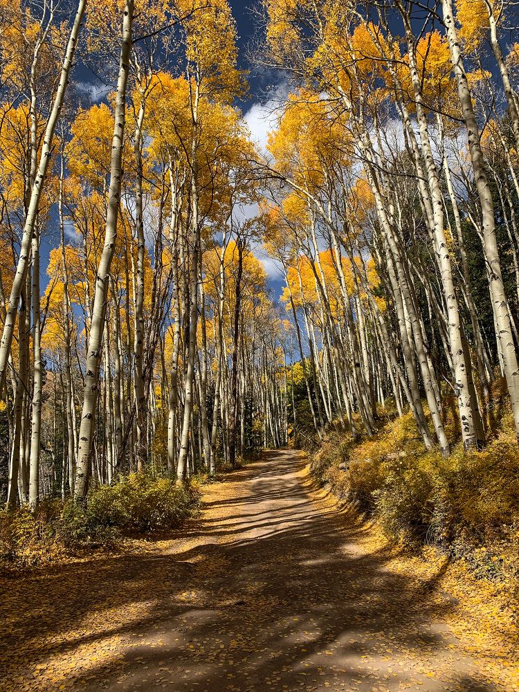 Photograph by Lana Anferow