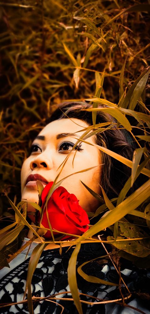 Фотография автора RINI NURHAYATI