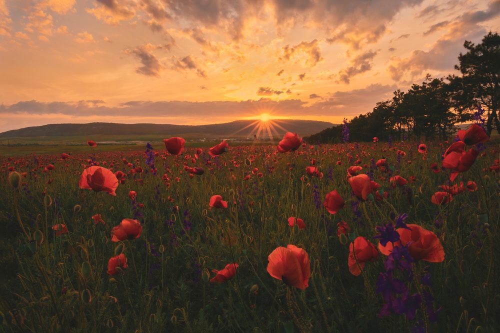 Photograph by ОЛЬГА Груздева