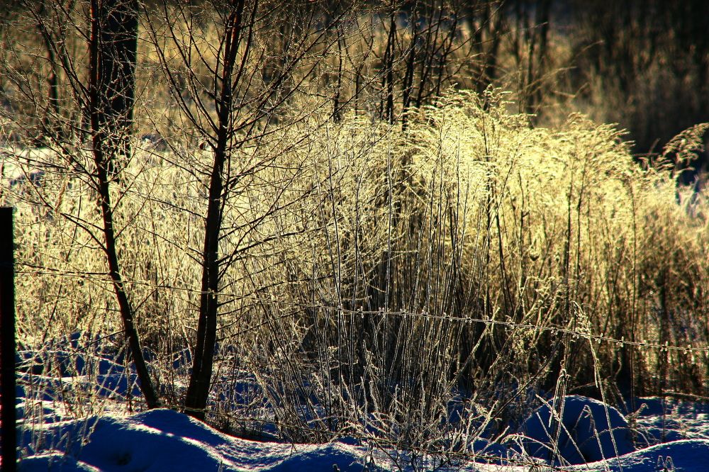 Photograph by денис суслин