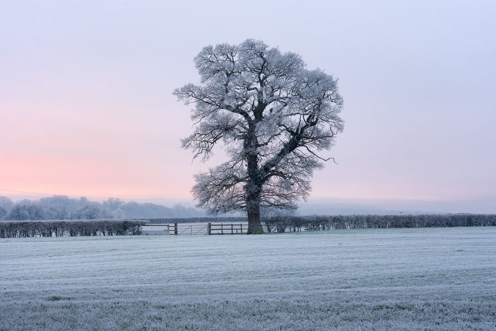 Photograph by ARTUR SZCZESZEK