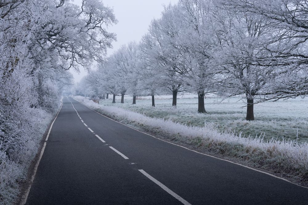 Photograph by ARTUR SZCZESZEK