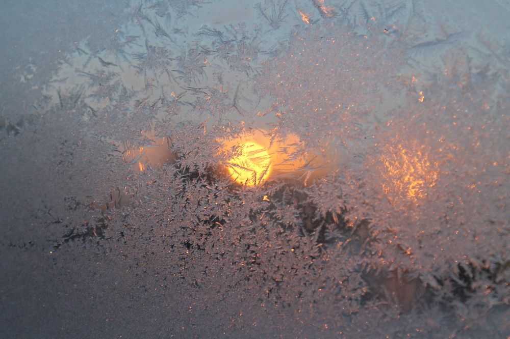 Winter patterns