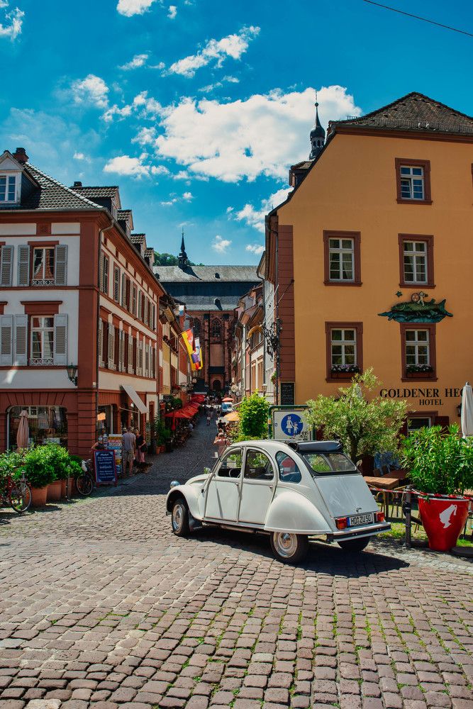 Photograph by Сергей Нагель-Синегубов